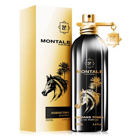 montale arabians tonka sale.